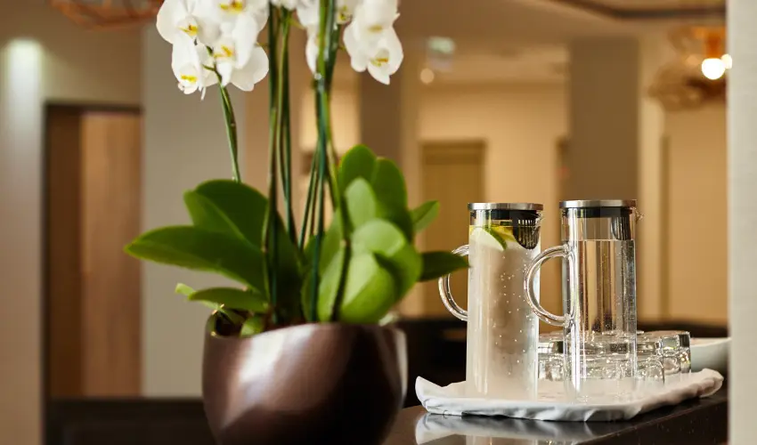 Thermal Hotel Balance  Lenti - Augusztus 20. (min. 3 �j)