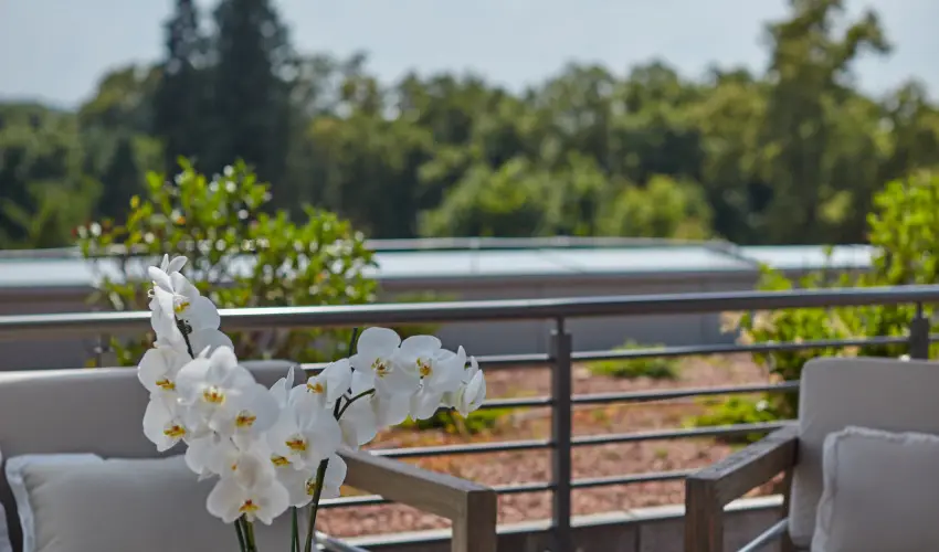 Thermal Hotel Balance  Lenti - Augusztus 20. (min. 3 �j)