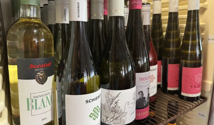 Thermal Hotel Tengelic Tengelic - Augusztus 20.