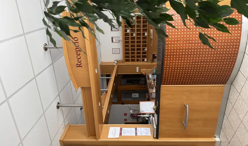 Thermal Hotel Tengelic Tengelic - Augusztus 20.