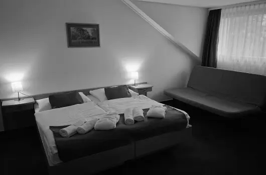 Thermal Hotel Tengelic - Augusztus 20.