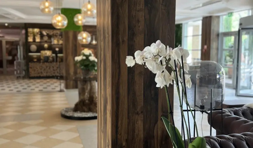 Thermal Hotel Visegrd Visegrd - Augusztus 20. - teljes elrefizetssel (min. 3 j)