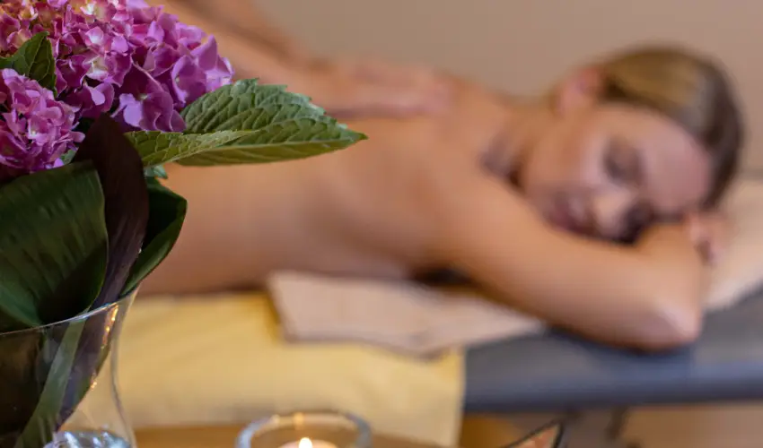 Thermal Hotel Visegrd Visegrd - Augusztus 20. - teljes elrefizetssel (min. 3 j)