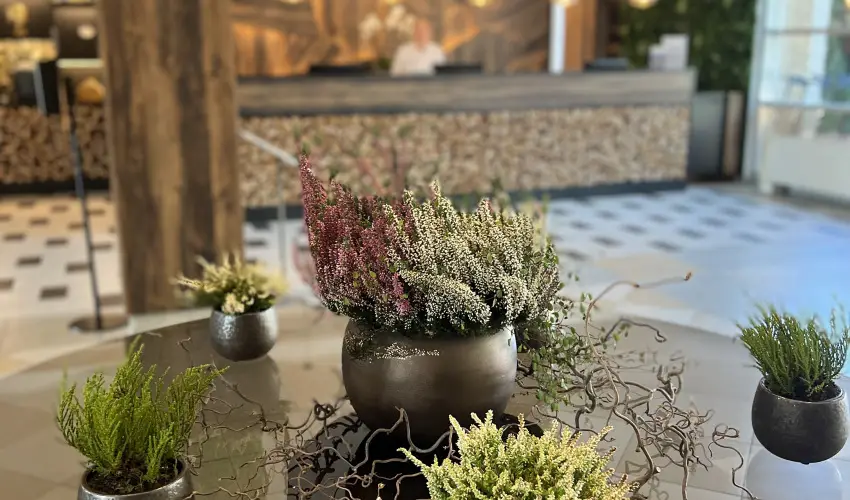 Thermal Hotel Visegrd Visegrd - Augusztus 20. - teljes elrefizetssel (min. 3 j)