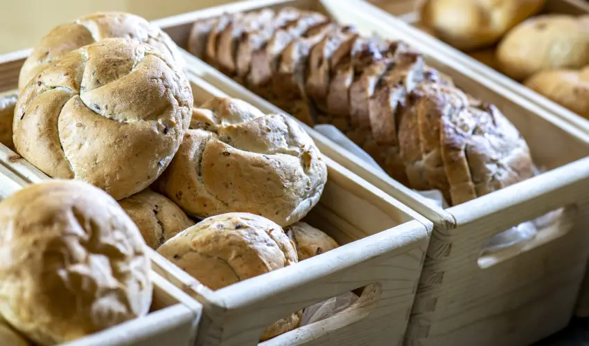 Term�l Apartmanok & Kemping Hark�ny Hark�ny - Augusztus 20.