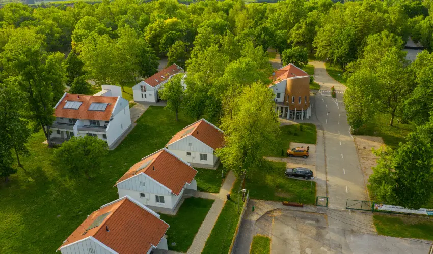 Term�l Apartmanok & Kemping Hark�ny Hark�ny - Augusztus 20.