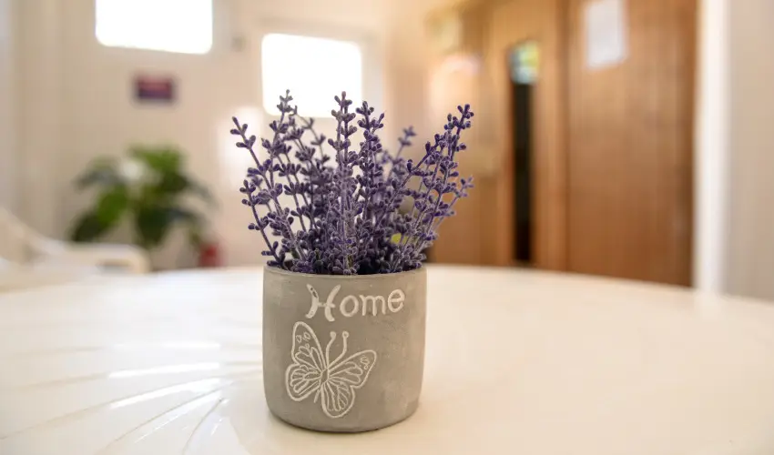 Thermal Panzi� Igal Igal - Augusztus 20. (min. 2 �j)