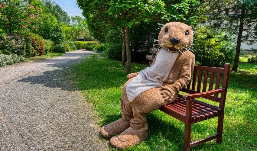 Tisza Balneum Hotel Tiszafred - Augusztus 20. (min. 3 j)