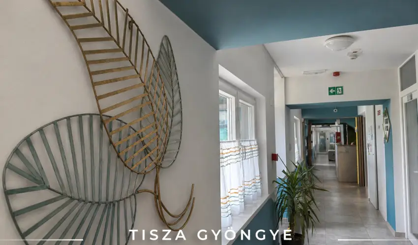 Tisza Gy�ngye Apartmanok Szeged - Augusztus 20.