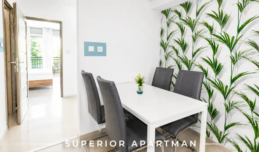 Tisza Gy�ngye Apartmanok Szeged - Augusztus 20.