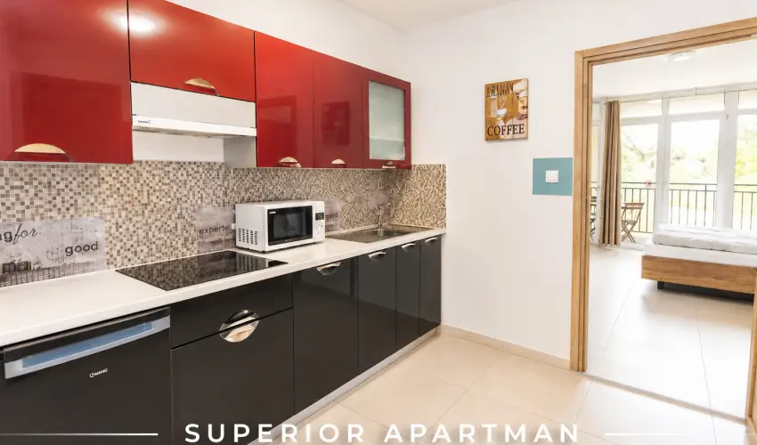 Tisza Gy�ngye Apartmanok Szeged - Augusztus 20.