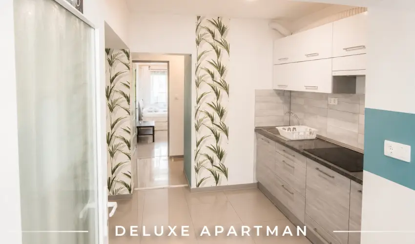 Tisza Gy�ngye Apartmanok Szeged - Augusztus 20.