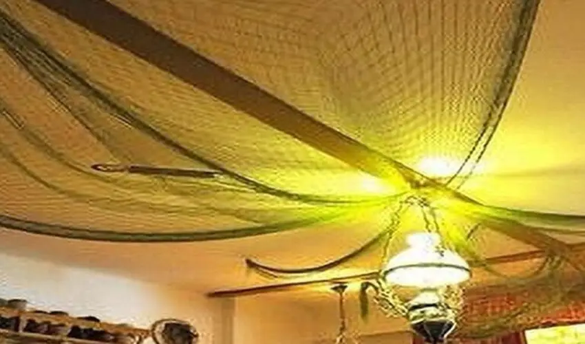 Tiszacsegei Halszcsrda s Panzi  Tiszacsege - Augusztus 20.