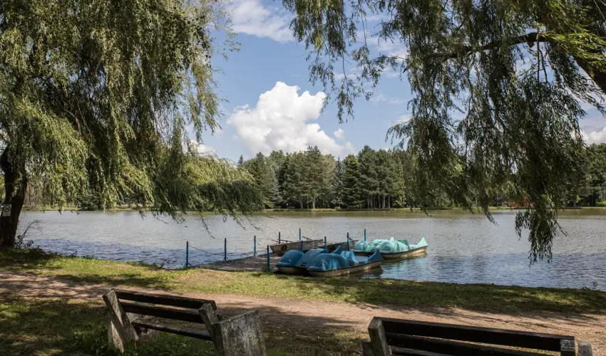 T�-Part Panzi� & Rendezv�nyk�zpont K�szeg - Augusztus 20.