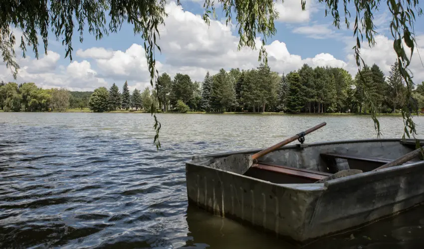 T�-Part Panzi� & Rendezv�nyk�zpont K�szeg - Augusztus 20.