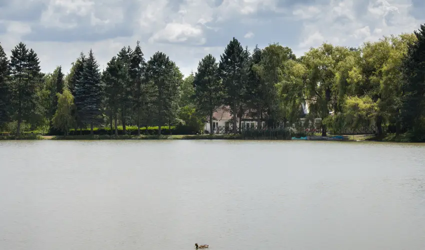 T�-Part Panzi� & Rendezv�nyk�zpont K�szeg - Augusztus 20.