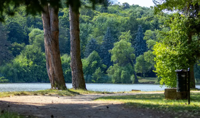 T�-Part Panzi� & Rendezv�nyk�zpont K�szeg - Augusztus 20.