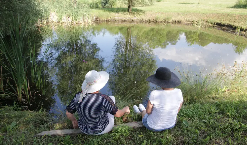 T Wellness Hotel Bnk - Augusztus 20 - hossz htvge