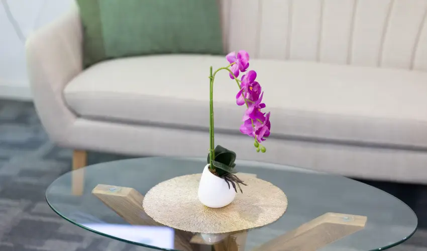 TOK Zamárdi Zamárdi - Augusztus 20. (min. 3 éj)