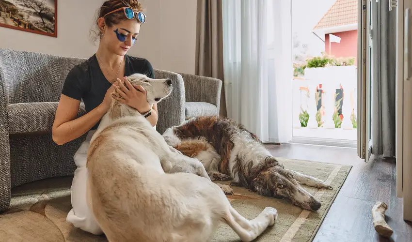 Tokajer Wellness Panzi� Keszthely - Augusztus 20. (min. 2 �j)