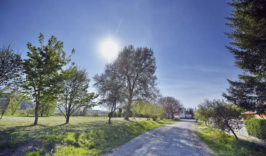 T�kert Fogad� Nagym�nyok - Augusztus 20. (min. 5 �j)