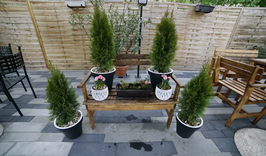 T�kert Fogad� Nagym�nyok - Augusztus 20. (min. 5 �j)