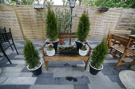 T�kert Fogad� - Augusztus 20. (min. 5 �j)