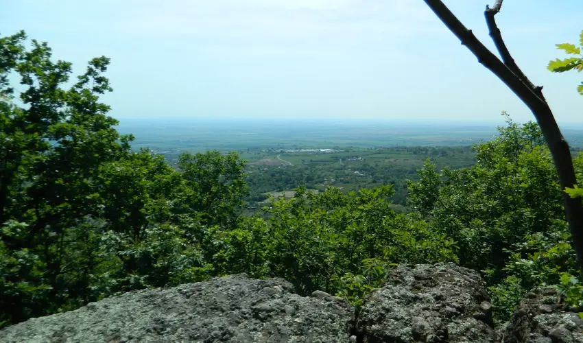 T�kert Fogad� Nagym�nyok - Augusztus 20. (min. 5 �j)