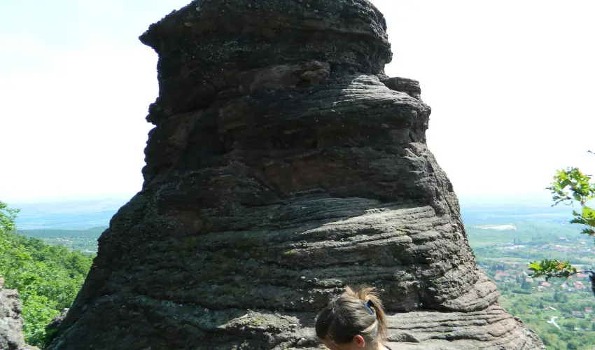 T�kert Fogad� Nagym�nyok - Augusztus 20. (min. 5 �j)