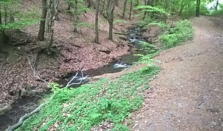 T�kert Fogad� Nagym�nyok - Augusztus 20. (min. 5 �j)