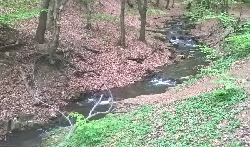 T�kert Fogad� Nagym�nyok - Augusztus 20. (min. 5 �j)