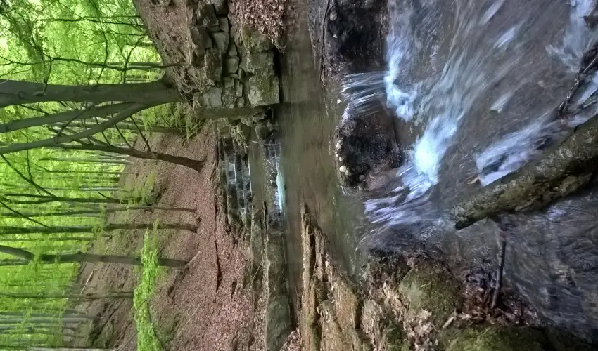 T�kert Fogad� Nagym�nyok - Augusztus 20. (min. 5 �j)