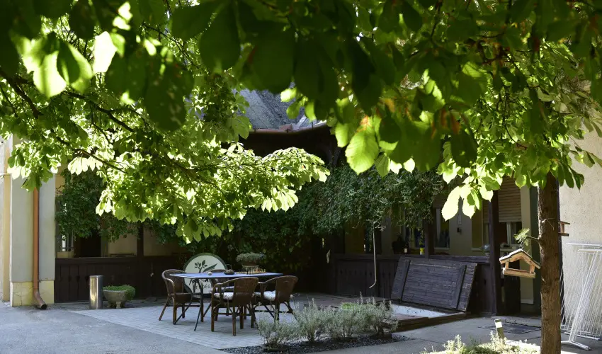 Torncos Vendghz Krshegy - Augusztus 20.