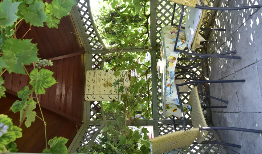 Torncos Vendghz Krshegy - Augusztus 20.