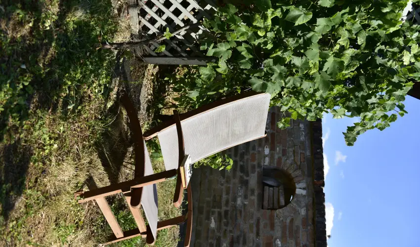 Torncos Vendghz Krshegy - Augusztus 20.