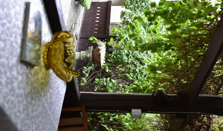 Torncos Vendghz Krshegy - Augusztus 20.