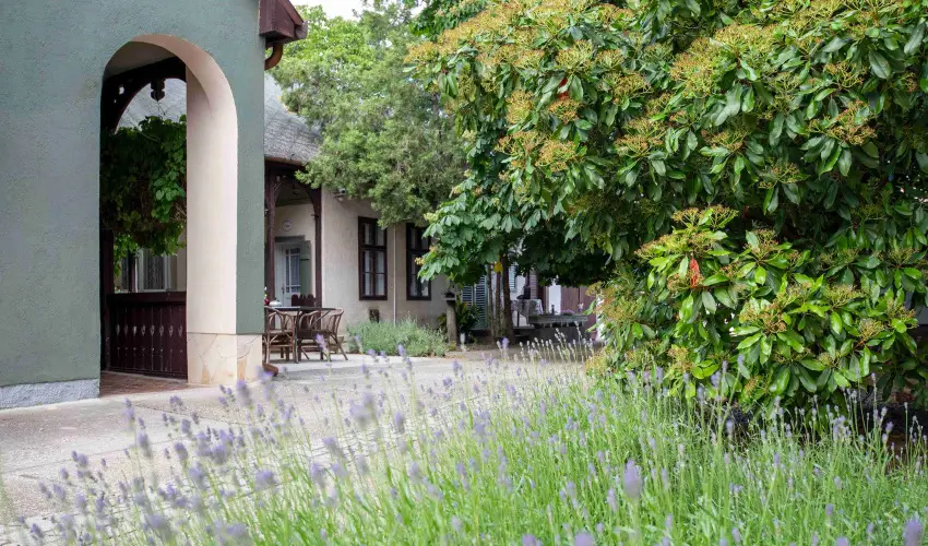 Torncos Vendghz Krshegy - Augusztus 20.