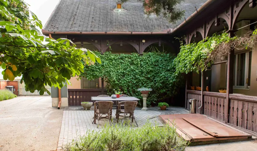 Torncos Vendghz Krshegy - Augusztus 20.