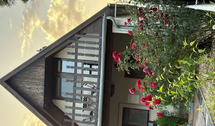 T�csi lak Szigetszentm�rton - Augusztus 20. (min. 2 �j)