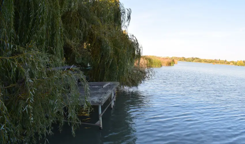 T�csi lak Szigetszentm�rton - Augusztus 20. (min. 2 �j)