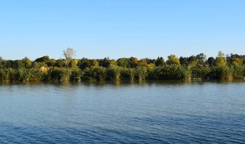 T�csi lak Szigetszentm�rton - Augusztus 20. (min. 2 �j)