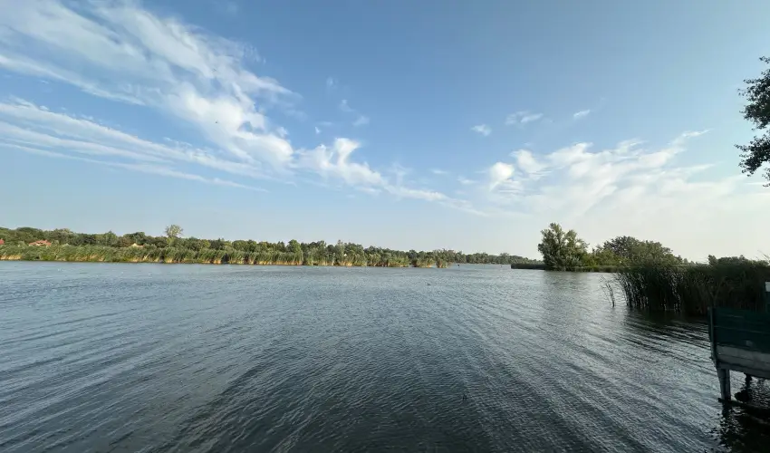 T�csi lak Szigetszentm�rton - Augusztus 20. (min. 2 �j)