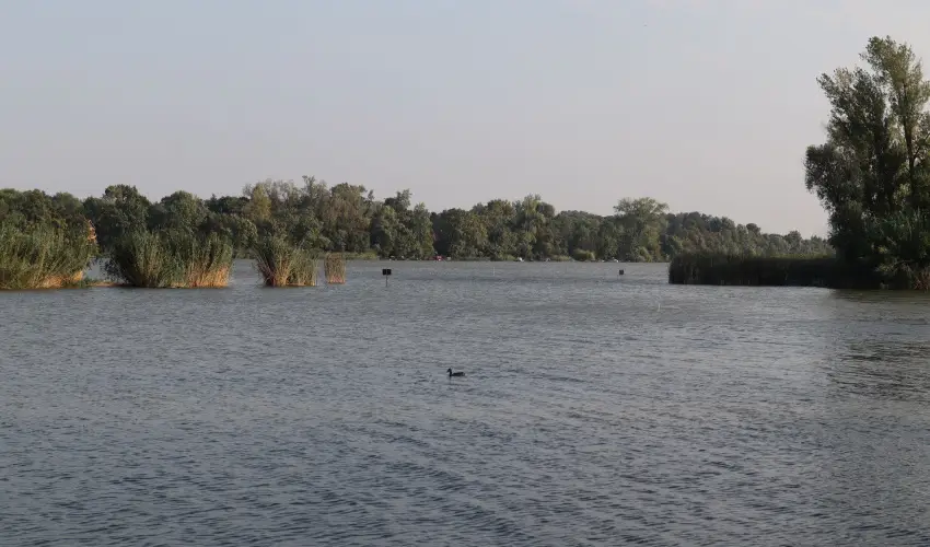 T�csi lak Szigetszentm�rton - Augusztus 20. (min. 2 �j)