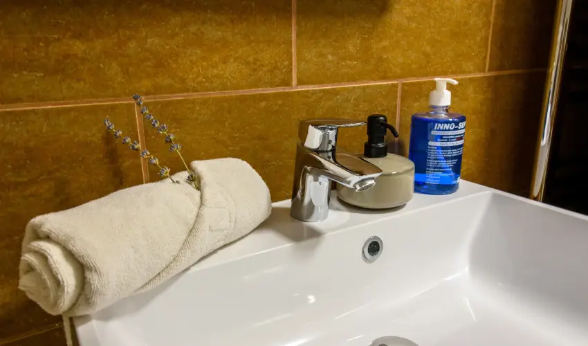 Tulipn Vendghz rvnyes - Augusztus 20. (min. 3 j)