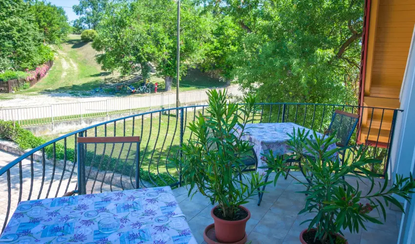 Tulipn Vendghz rvnyes - Augusztus 20. (min. 3 j)