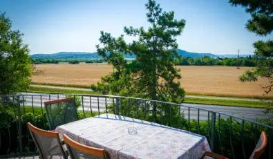 Tulipn Vendghz rvnyes