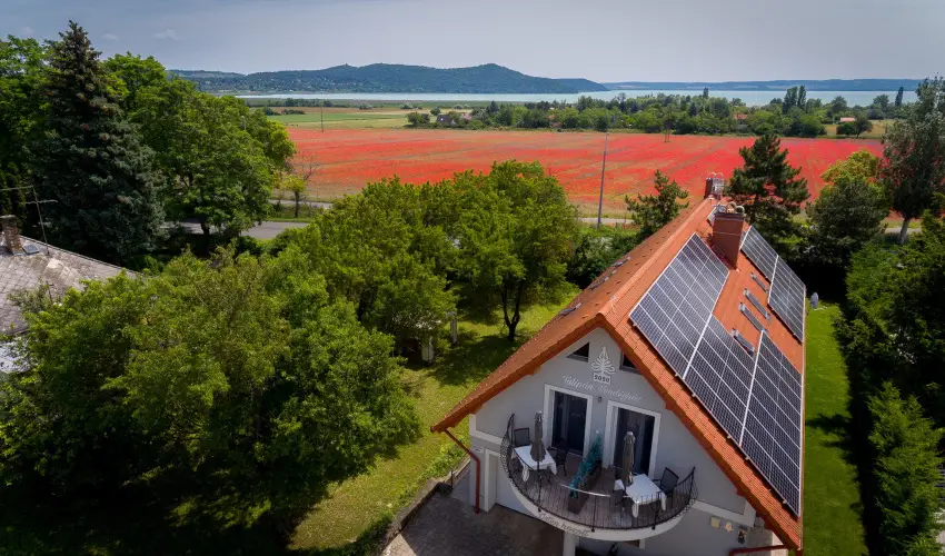 Tulipn Vendghz rvnyes - Augusztus 20. (min. 3 j)