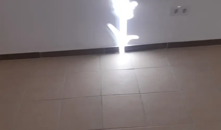 Tulip�nos Vend�gh�z �r - Augusztus 20.