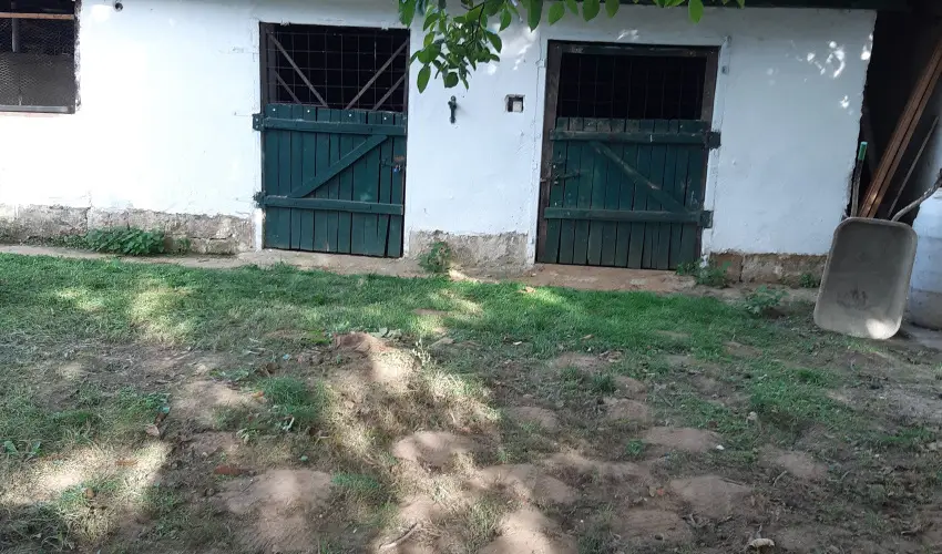 Tulip�nos Vend�gh�z �r - Augusztus 20.