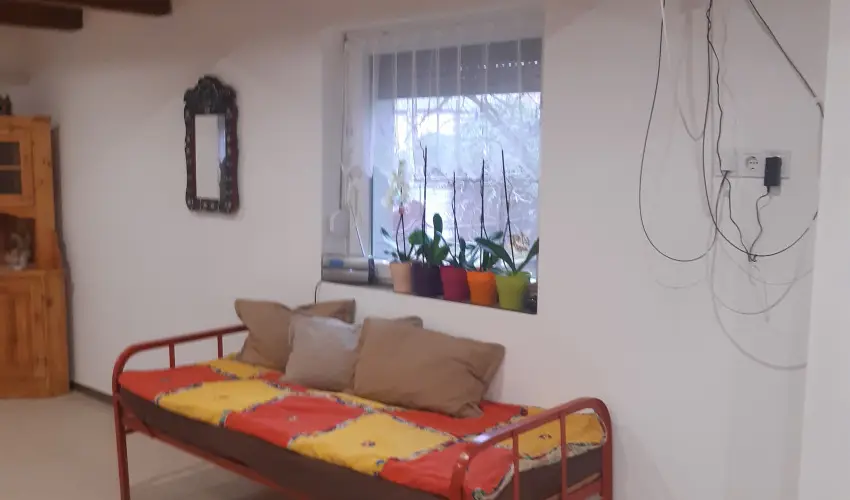 Tulip�nos Vend�gh�z �r - Augusztus 20.